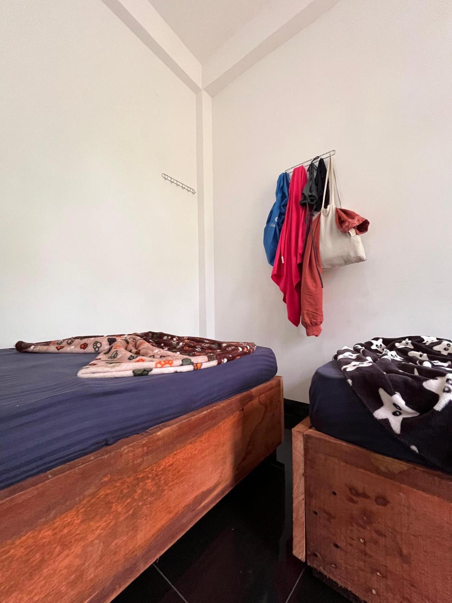 אלה Backpackers Hostel מראה חיצוני תמונה