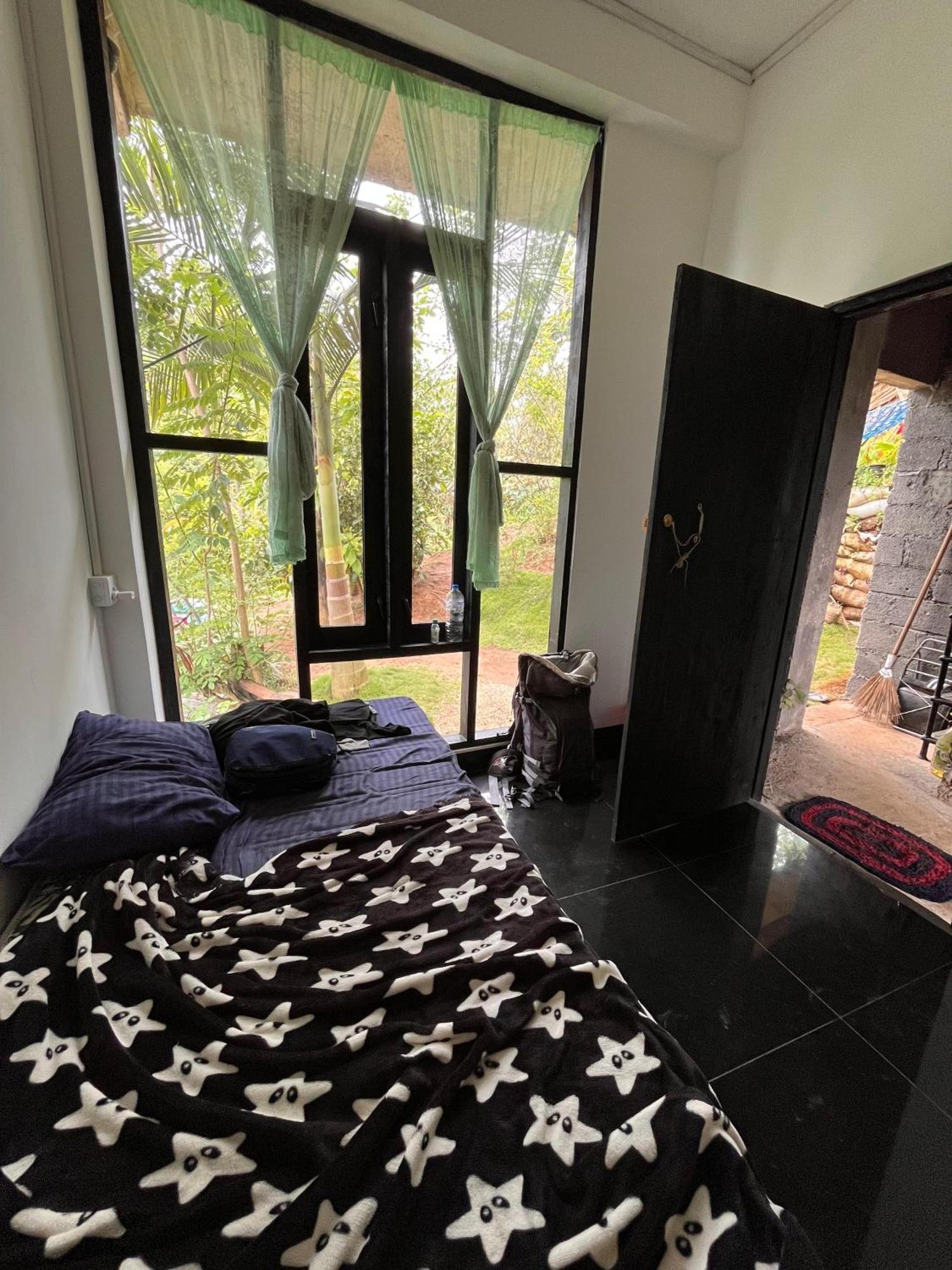 אלה Backpackers Hostel מראה חיצוני תמונה