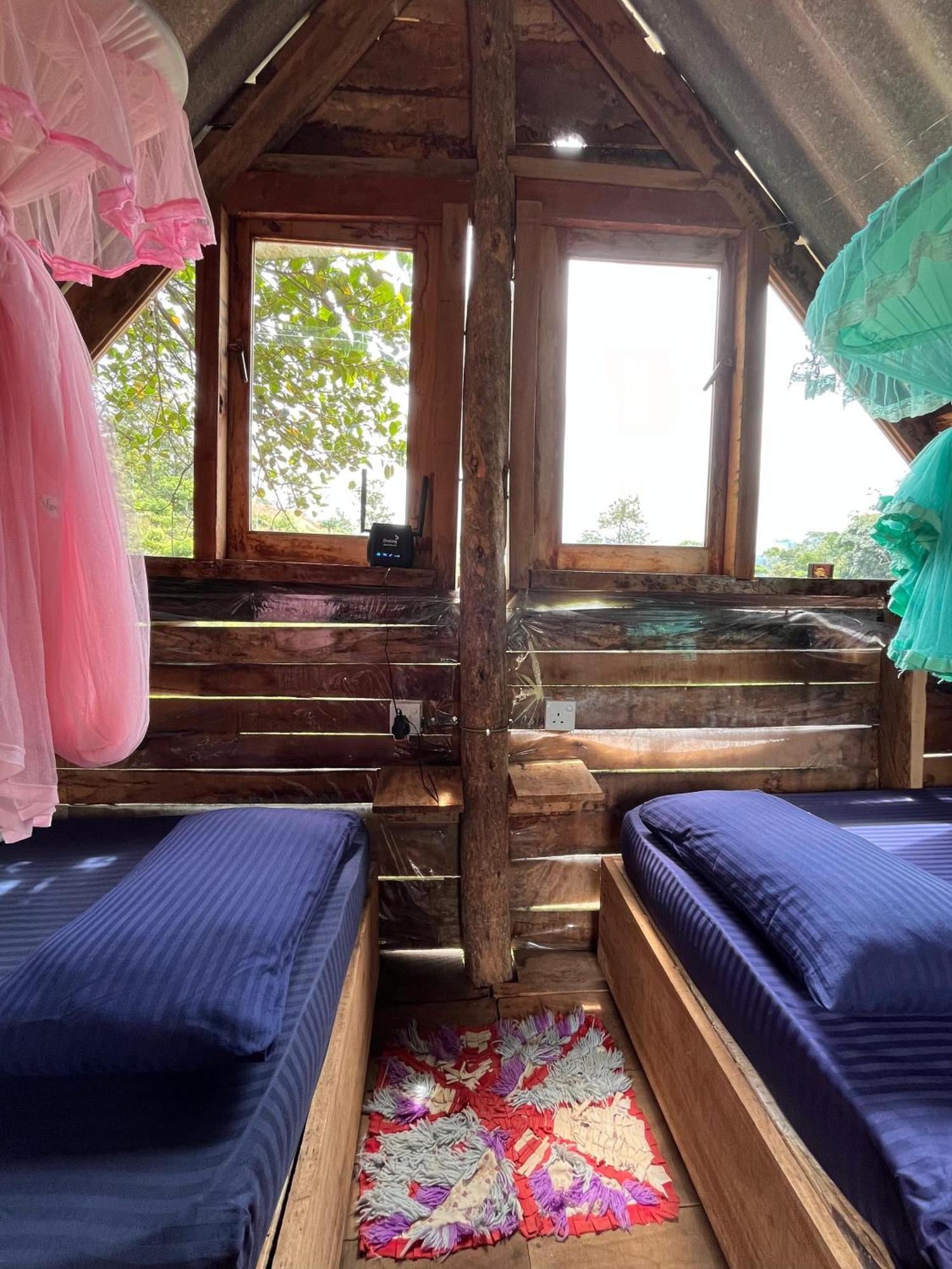 אלה Backpackers Hostel מראה חיצוני תמונה