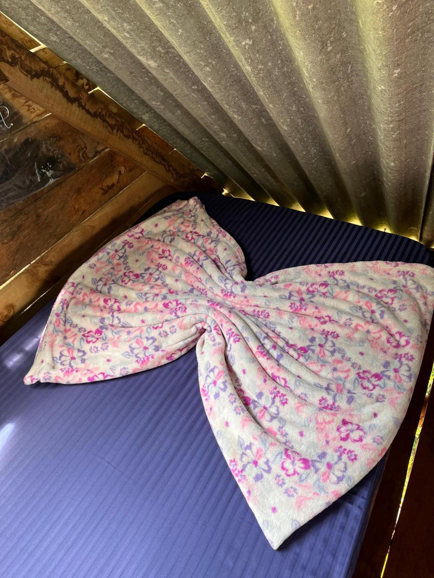 אלה Backpackers Hostel מראה חיצוני תמונה