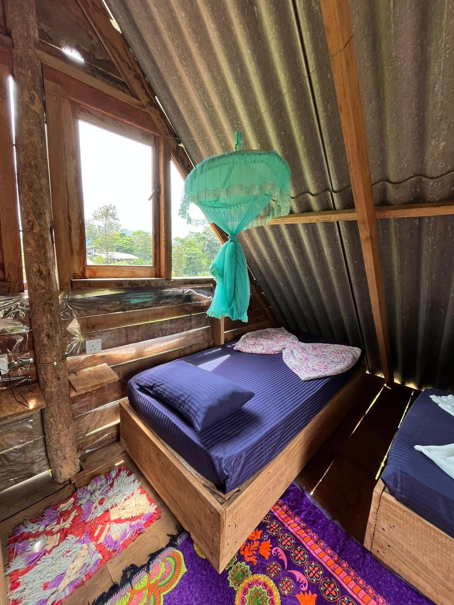 אלה Backpackers Hostel מראה חיצוני תמונה