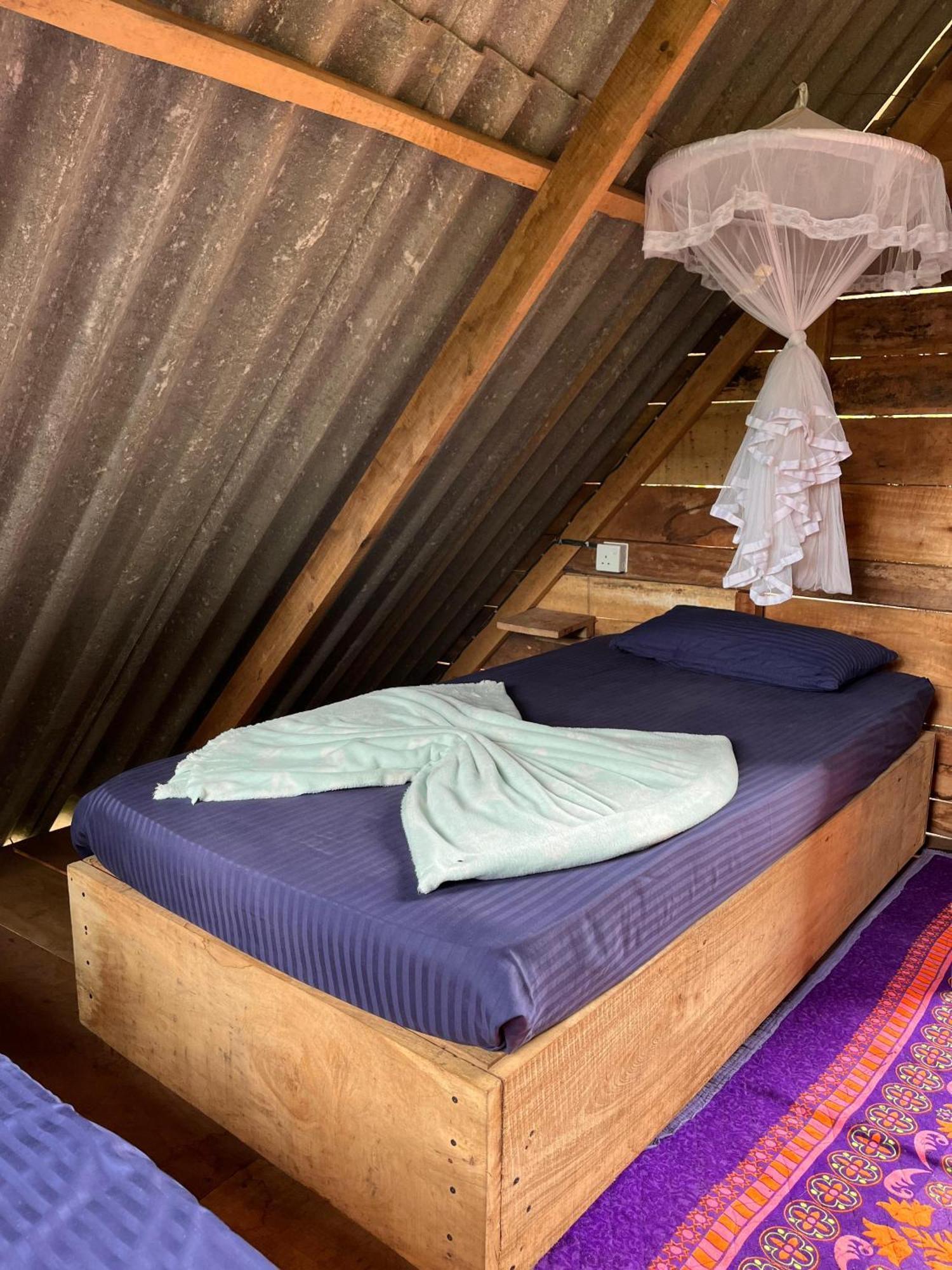 אלה Backpackers Hostel מראה חיצוני תמונה