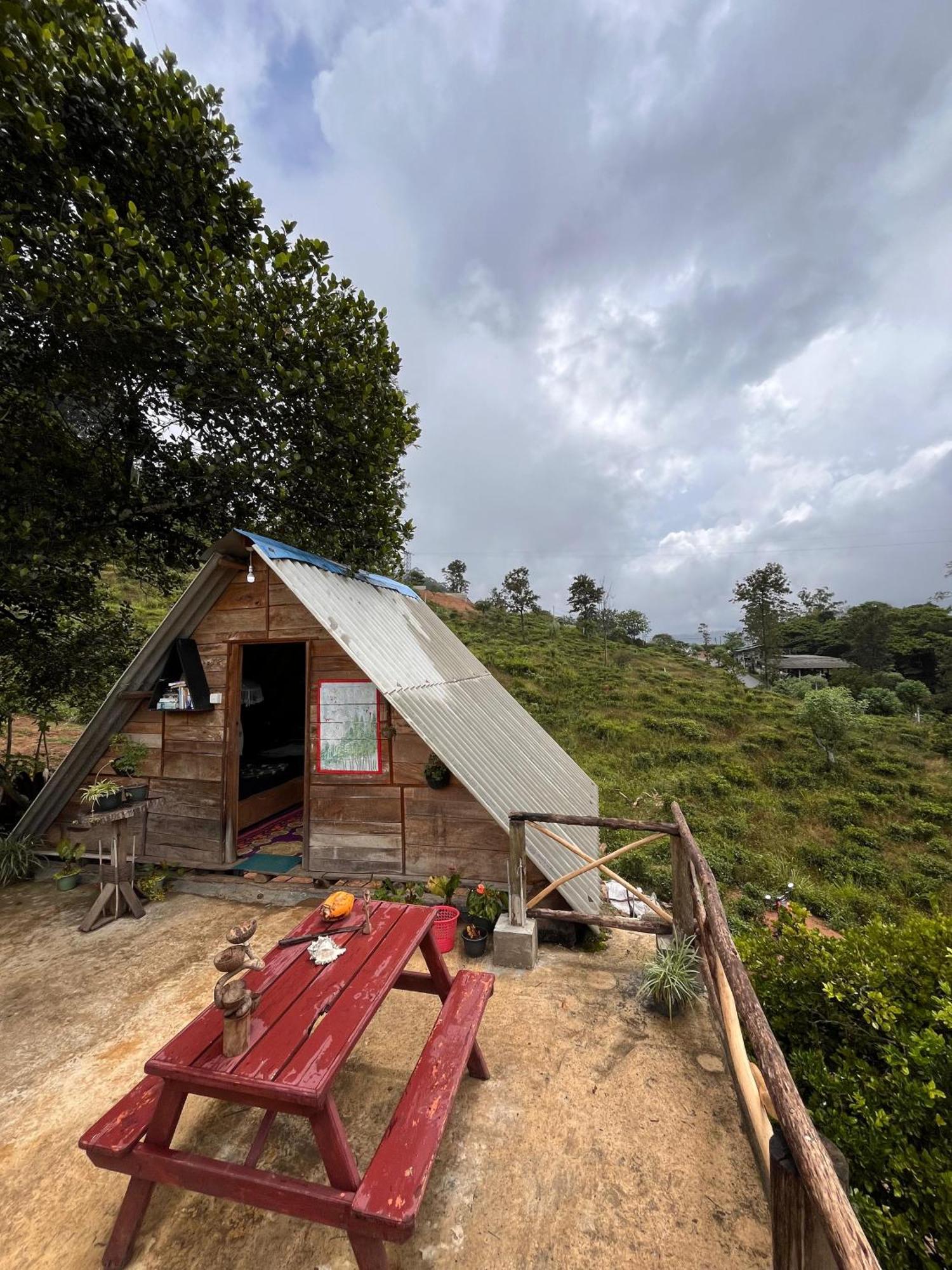 אלה Backpackers Hostel מראה חיצוני תמונה